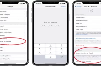Как добавить второе Face ID на iPhone?  - 1fa05548 ee59 425b a1e9 c7dbbf89c251