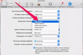 Как очистить историю поиска в Safari?  - 493fb15b c59a 4119 bc33 82284d59ff87