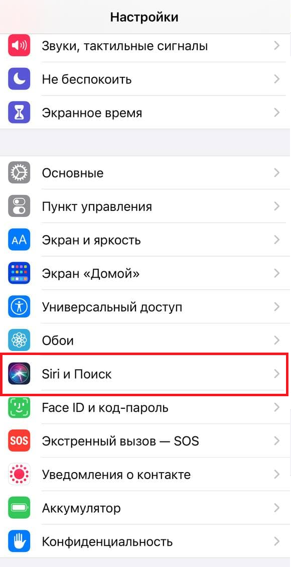 Как поменять голос Сири на iPhone и MacOS