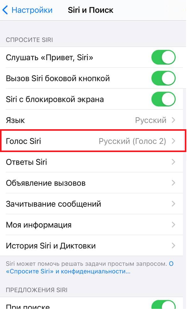 Как поменять голос Сири на iPhone и MacOS