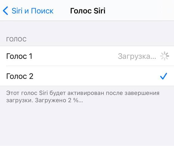 Как поменять голос Сири на iPhone и MacOS