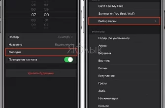 Как поставить мелодию на будильник на iPhone? - 6d0a72f4 3eef 4e29 b4c8 5f4f6da69395