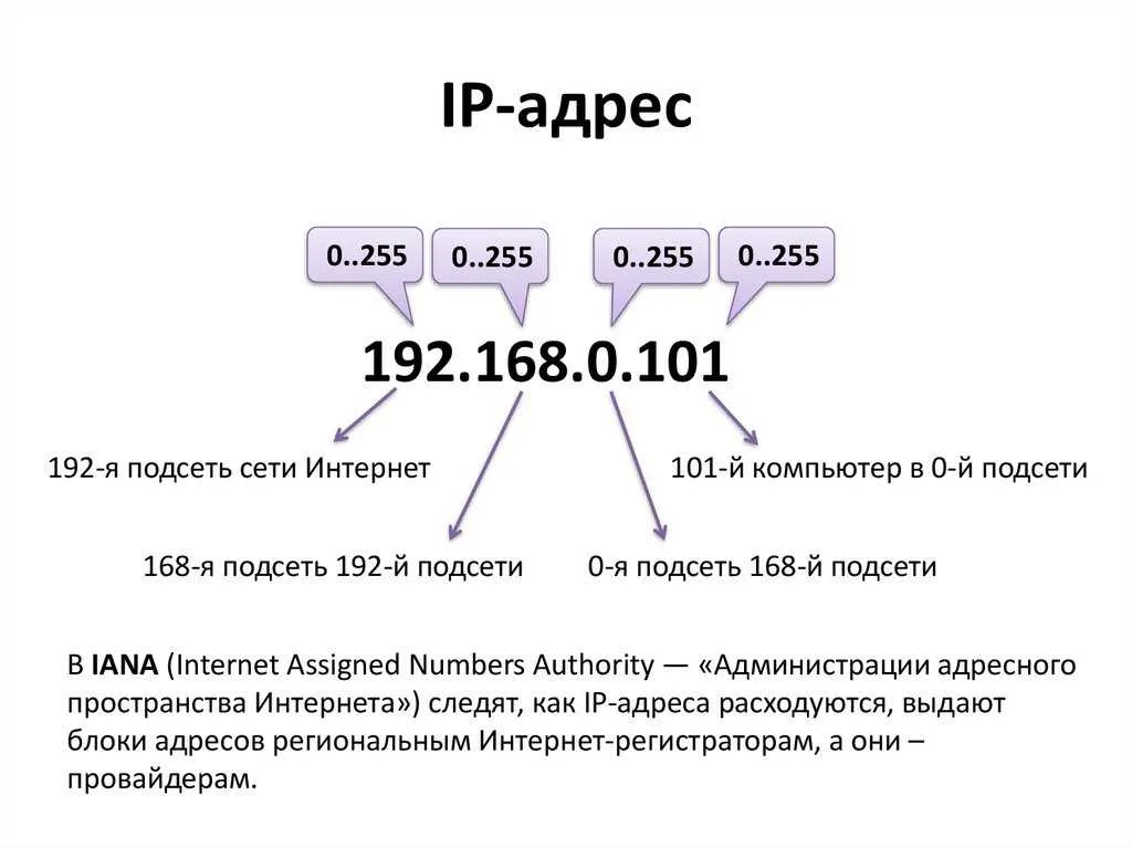 Как узнать ip-адрес по ссылке?