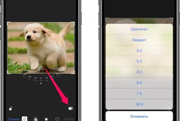 Как обрезать фото на iPhone 11? - bef20b5a 553a 4fe0 b03c 106c1f5fb906