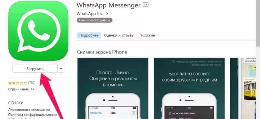 Как скачать на Android приложение WhatsApp версии iPhone? - 23281956 6de2 4ef4 b8ec 91fec4b92372