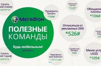 Как узнать баланс Мегафон с другого телефона? - 4fc29a32 424f 4f16 93fa 3844d431bace