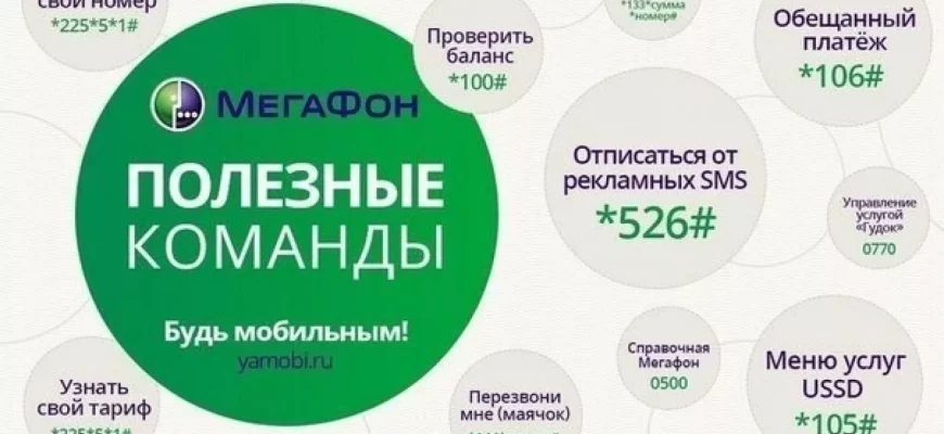 Как узнать баланс Мегафон с другого телефона? - 4fc29a32 424f 4f16 93fa 3844d431bace