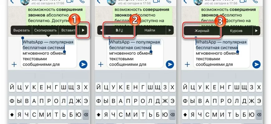 Как выделить в WhatsApp текст жирным шрифтом? - 2330c8bd be5a 42af bc85 994916835389