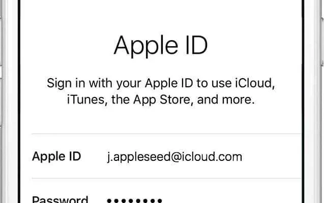 Как выглядит Apple ID? - 2e42315e 6769 4bb8 877b e23e492d4669