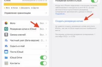 Как обновить iPhone до iOS 14? - 923ee1ff f8db 415e accb 183b63d7857d