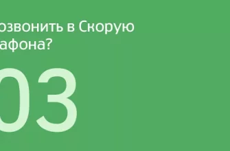 Как вызвать полицию с мобильного телефона Мегафон? - bd69c629 bdac 43be 8b5c 5d20f0c31256