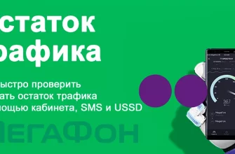 Как проверить трафик на Мегафон? - da13b8e8 5100 4a7c 889f 96656e8f8281