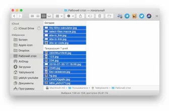 Как выделить несколько файлов на MacBook? - eba25cc4 9ea0 4e6d bf48 8e3282bb7c7a