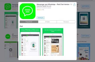 WhatsApp для iPad: Как установить?  - 20c92efb 4155 4479 bb19 be321f1377c4