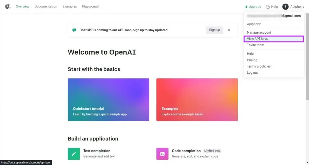 Как пользоваться OpenAI Фото?