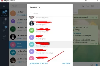 Как пользоваться Telegram?  - 8df50972 351f 4bfa 9a6b cdc64ec00969