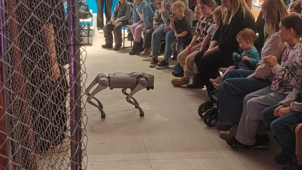 RoboPark в Перми: экскурсоводы, робособака и мастер-классы для детей