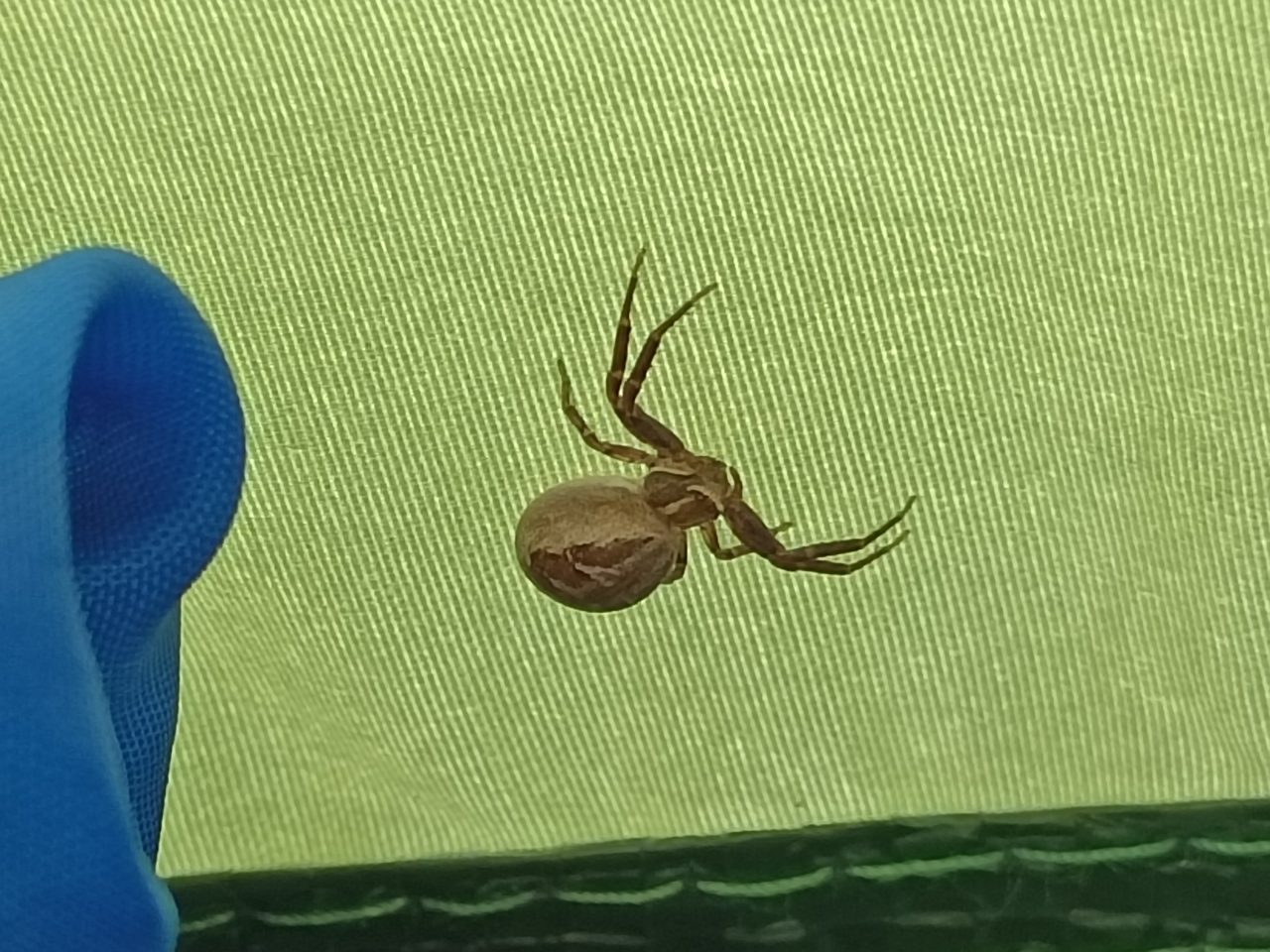 Обзор vivo V23 — находка для фотографа. 64 Мп, 50 Мп 8/12 ГБ,128/256 ГБ