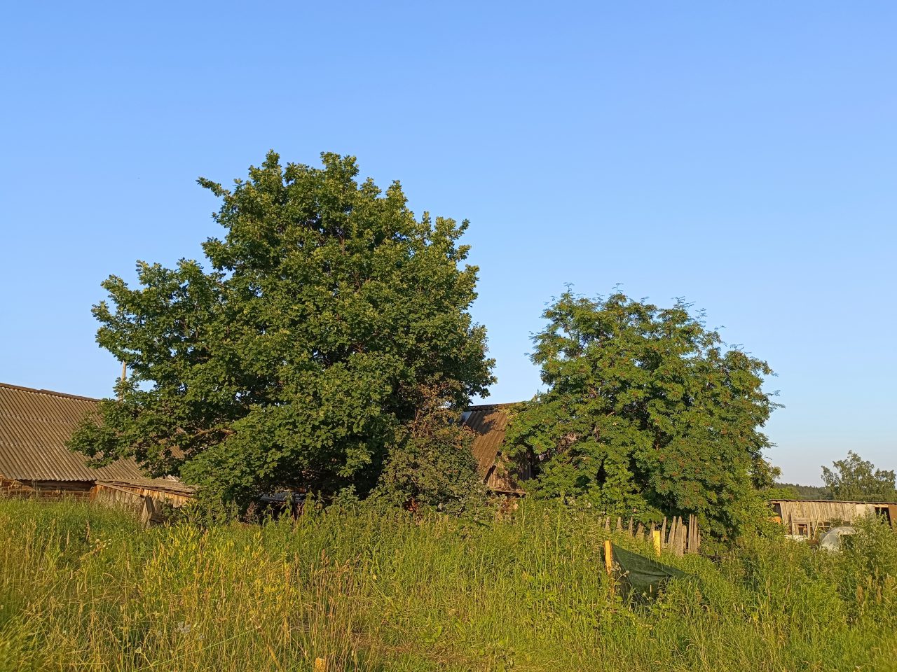 Обзор vivo V23 — находка для фотографа. 64 Мп, 50 Мп 8/12 ГБ,128/256 ГБ